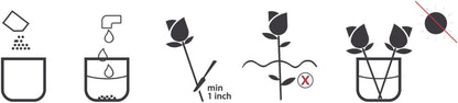 Elegant Red Anemone Flower Bulk Bundle
