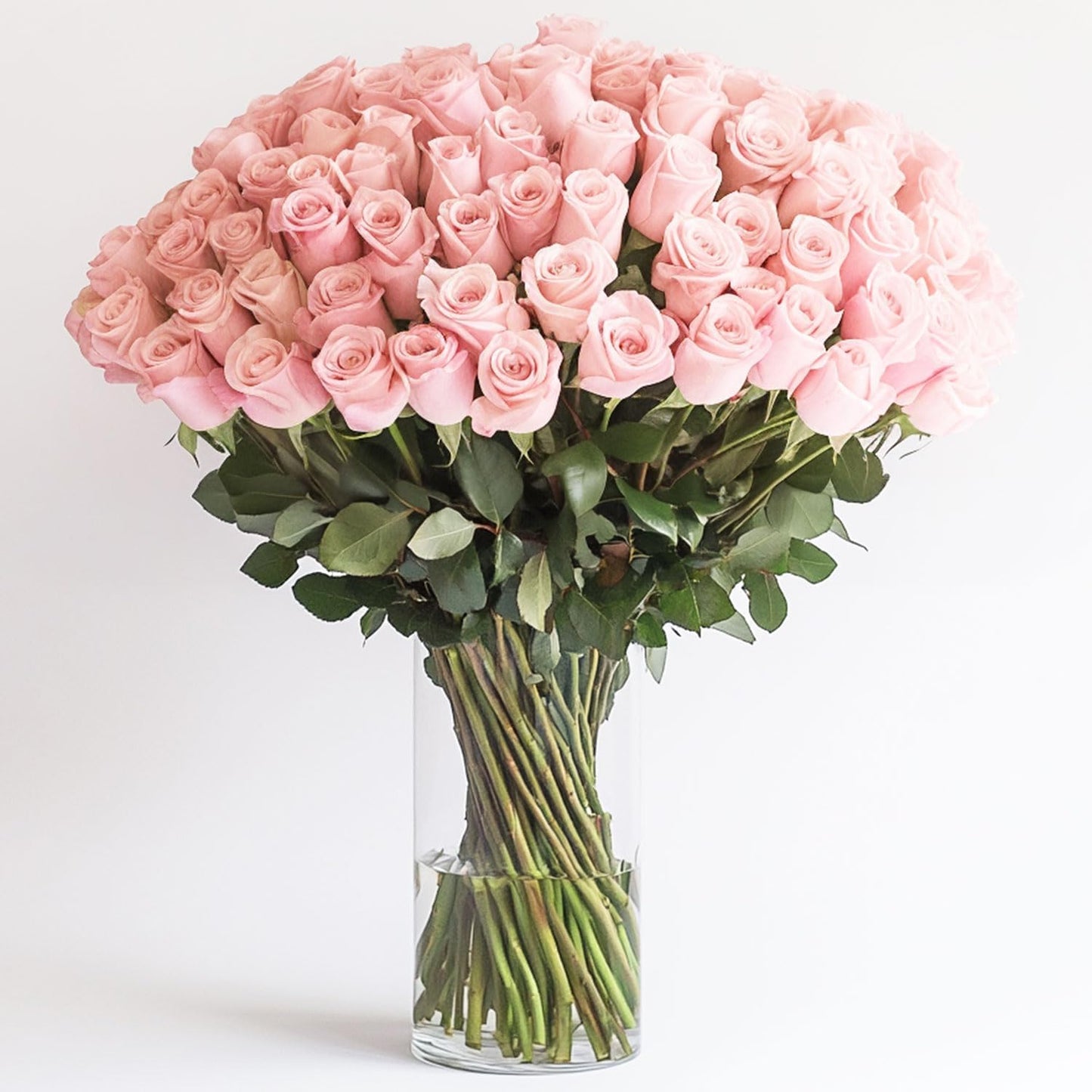 Long-Lasting Pink Rose Bulk