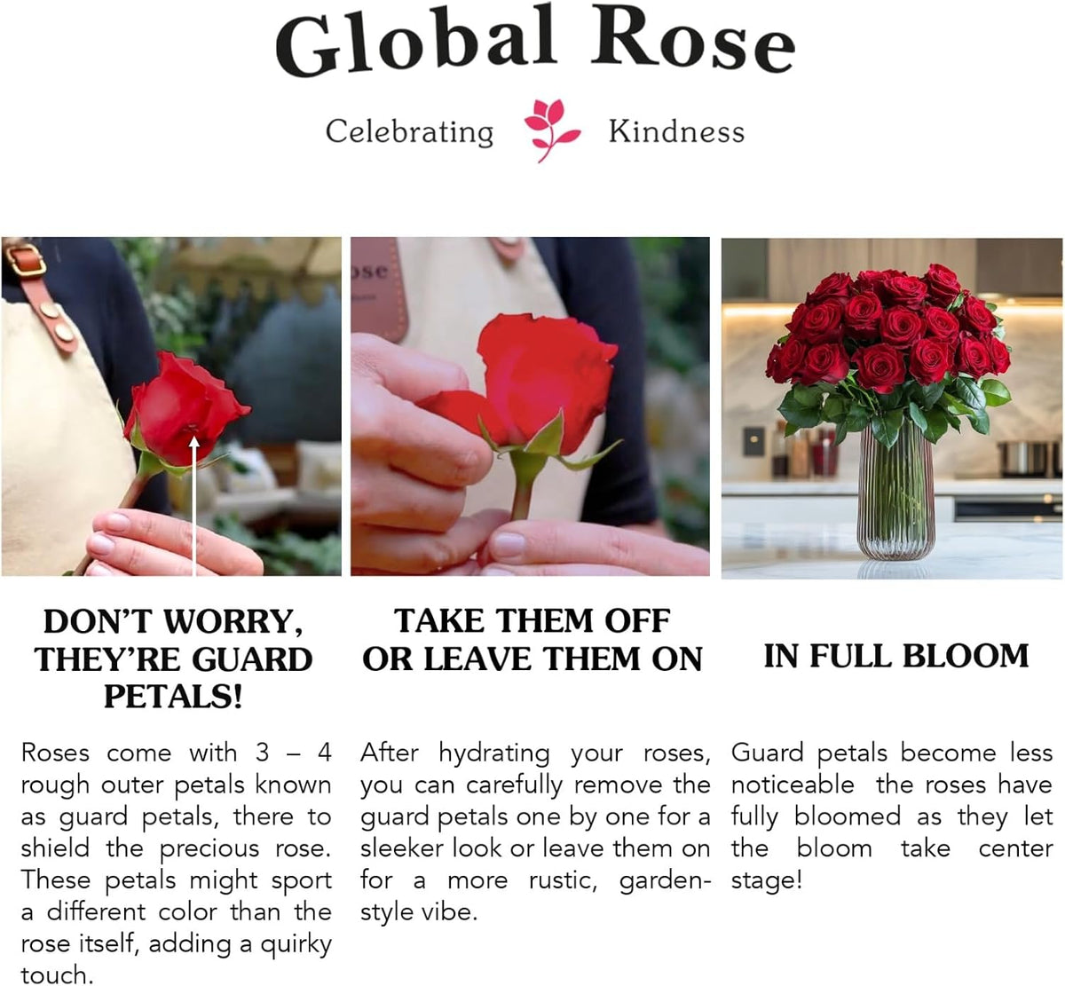 Long-Lasting Pink Rose Bulk